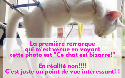 Comment te libérer des freins du jugement et donner une nouvelle dimension à ta Vie?