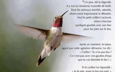 La Spontanéité est ton atout pour contribuer à un monde meilleur!