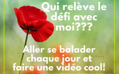 Défi Faire tomber tes barrières pour enfin Oser être Visible tout en s’amusant!