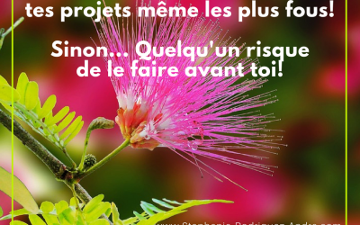 Ose tes EnVies Business!