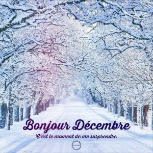 Résultat de recherche d'images pour "bonjour décembre"