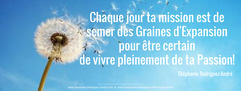 Sème des graine d'expansion - Stéphanie Rodrigue-André - WebBusinessVibratoire - Lodyllion - Pour Facebook