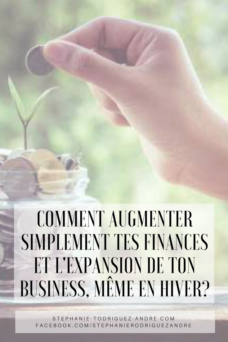 COMMENT AUGMENTER SIMPLEMENT TES FINANCES ET L'EXPANSION DE TON BUSINESS, MÊME EN HIVER_ - Stéphanie Rodriguez-André.com - Web Business Vivratoire - Lodyllion - Pintereste