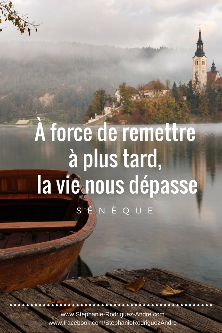 Citation Inspirante De Seneque A Force De Procrastiner Et De Remettre A Plus Tard La Vie